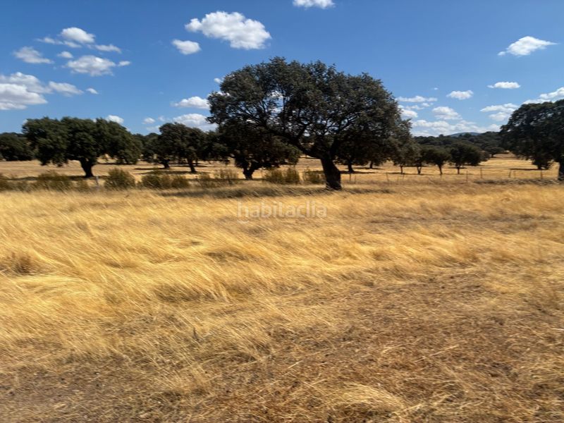 Foto fd97f6cf-a228-4830-9d8f-bfe79d13731b. Finca rústica a Mohedas de la Jara