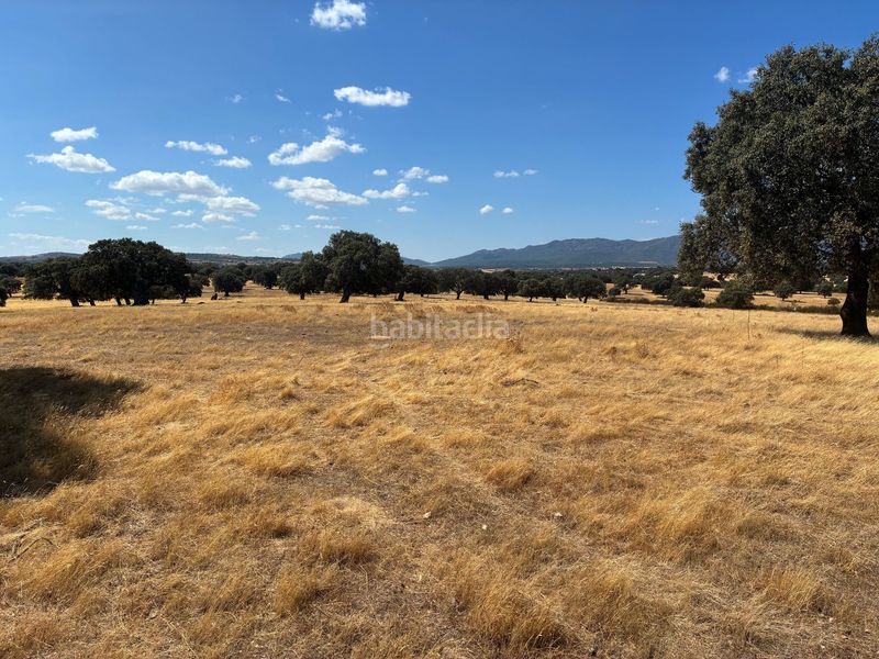 Foto 4d450a79-f648-45fd-abff-0daef032ffb1. Finca rústica en Mohedas de la Jara