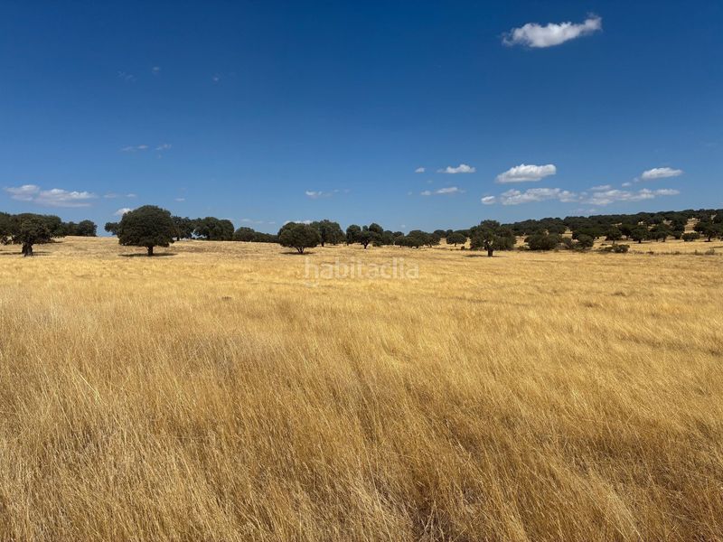 Foto a21604bf-755b-4baa-9dec-6585ae712af6. Finca rústica en Mohedas de la Jara