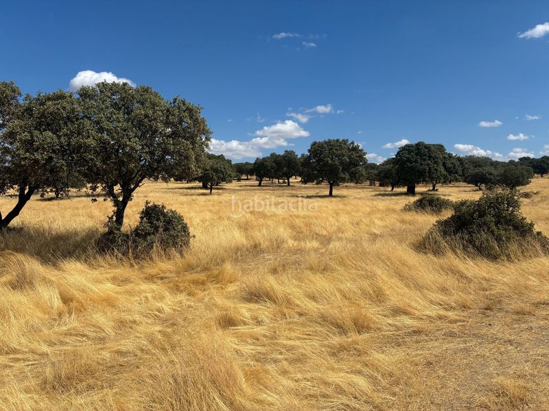 Foto b0dfaee5-d76b-4888-8a81-e6dde7f57b21. Finca rústica en Mohedas de la Jara