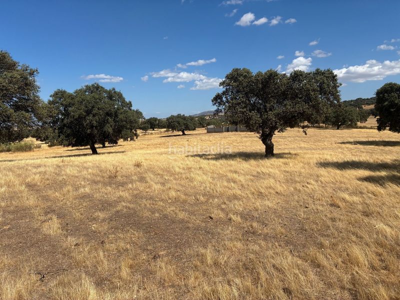 Foto ba747215-b1b1-4359-81a8-6cb5cb96976e. Finca rústica en Mohedas de la Jara