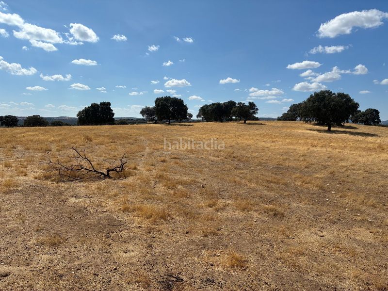 Foto d0105b7e-8144-4a73-87fd-44035d05c997. Finca rústica en Mohedas de la Jara