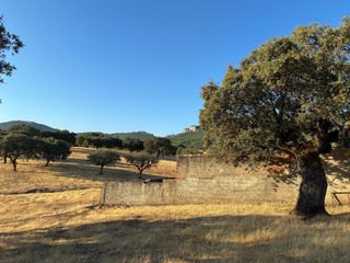 Finca r�stica en Mohedas de la Jara