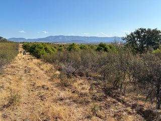 Finca r�stica en Puerto de San Vicente