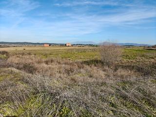 Terreny residencial a Carretera de plasencia 47