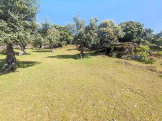 Rural plot in Zona Norte - Hospital - Urbanizaciones