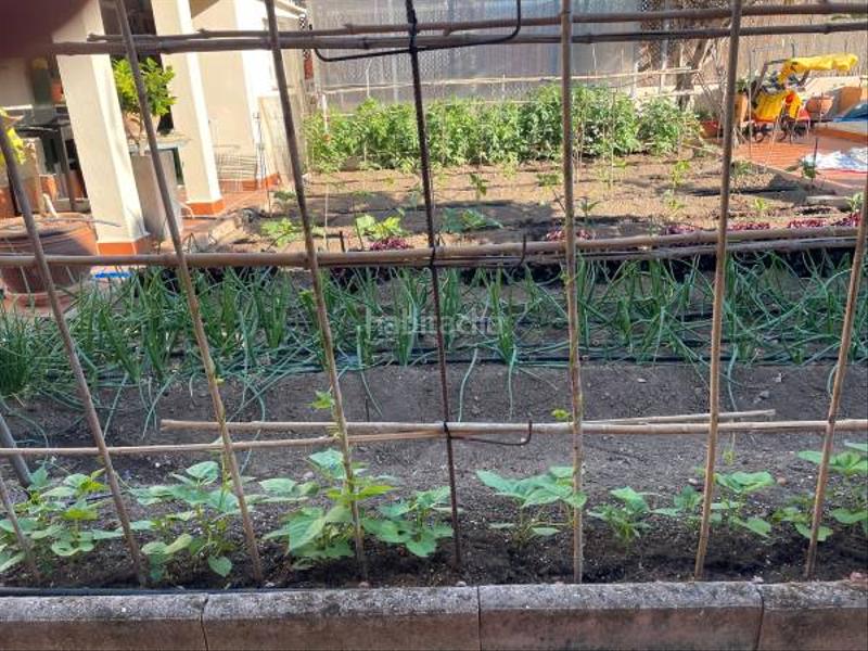 Foto 5a470f91-3385-4e37-afc5-024edf0dfc69. House in calle tordo pradochan 1 in Zona Sur - Av. De España - San Miguel Plasencia