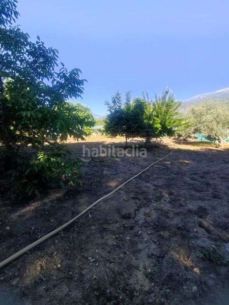 Foto 984b6f63-90dd-4e13-83b3-9a15f8f97ee8. Finca rústica a Casas del Castañar