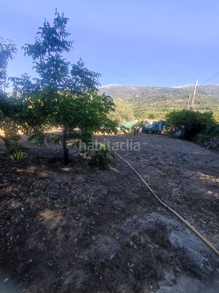 Foto eb731d6d-ad98-409f-8025-5c3d191e4389. Finca rústica a Casas del Castañar