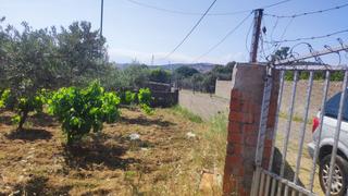 Residential Plot  N/a