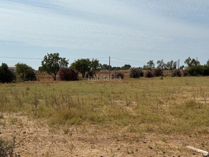 Foto 2447195d-3380-459e-a672-5024ee1ce369. Terreno residenziale in Parque Atlántico - Ronda este Jerez de la Frontera