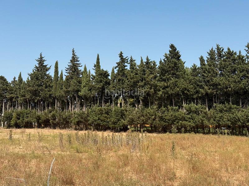 Foto 28e97e98-966b-4187-ae4e-41d5899810a0. Terreno residenziale in Parque Atlántico - Ronda este Jerez de la Frontera