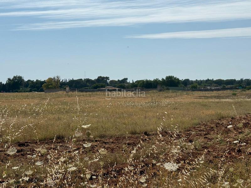 Foto 2a51c8b6-c81d-461c-857b-8311dcf06c29. Terreno residenziale in Parque Atlántico - Ronda este Jerez de la Frontera