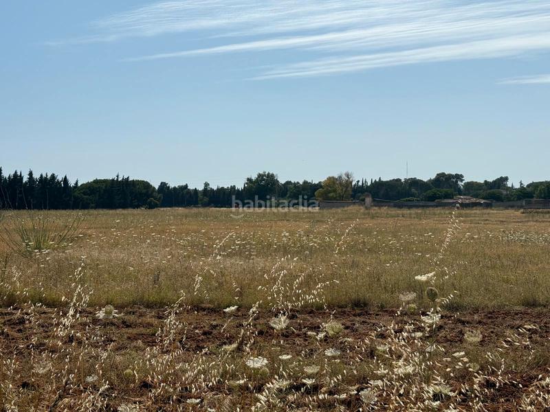 Foto f4b98923-b340-451b-be09-b8b456ccf758. Terreno residenziale in Parque Atlántico - Ronda este Jerez de la Frontera