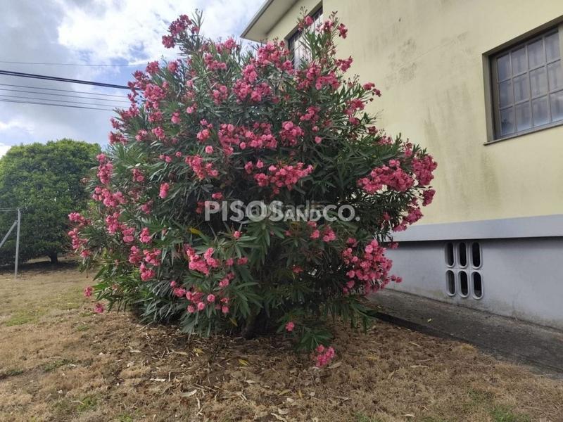 Foto 8fed8e9d-b5ae-44b0-b4e7-400a805634a0. Casa en Abegondo