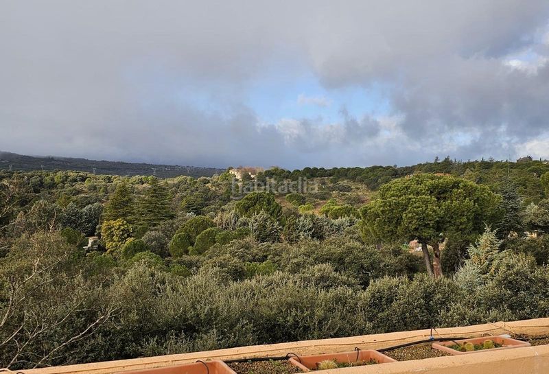 Foto 4ca81a17-ca49-4226-bae0-f770a5488d5c. Xalet amb calefacció aparcament piscina a El Gasco Torrelodones