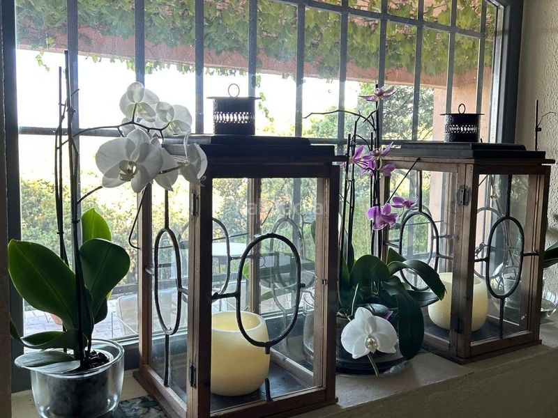 Foto 549064e6-a0b2-456d-8986-1c03b1bfb67c. Xalet amb calefacció aparcament piscina a El Gasco Torrelodones