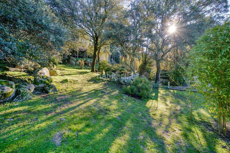 Foto 7698a4b9-a804-4852-a7be-db8e326b4fa6. Xalet amb calefacció aparcament piscina a El Gasco Torrelodones