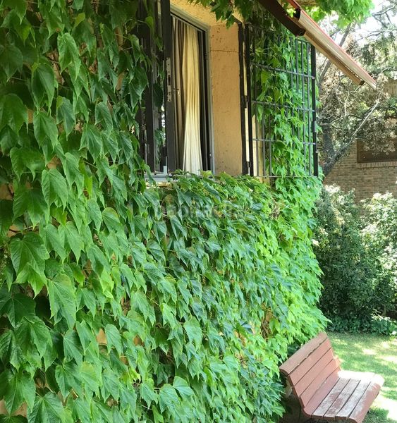 Foto ceaea2f0-437d-496d-9317-ab22786a46dc. Xalet amb calefacció aparcament piscina a El Gasco Torrelodones