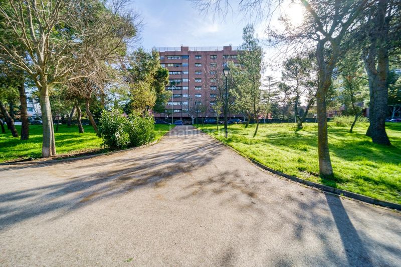 Foto 2fce65f6-8f41-4cf6-a86c-913374cb3b88. Lloguer pis a Peñagrande Madrid