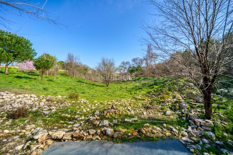 Foto d5490def-c8c9-47df-9ae3-6e09a0390595. Lloguer pis a Peñagrande Madrid