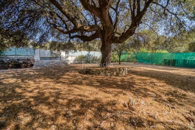 Foto 3e4671f6-d5d0-4885-99f9-7364c5f9cf30. Terreno residencial en Las Zorreras-Monte Encinar Escorial (El)