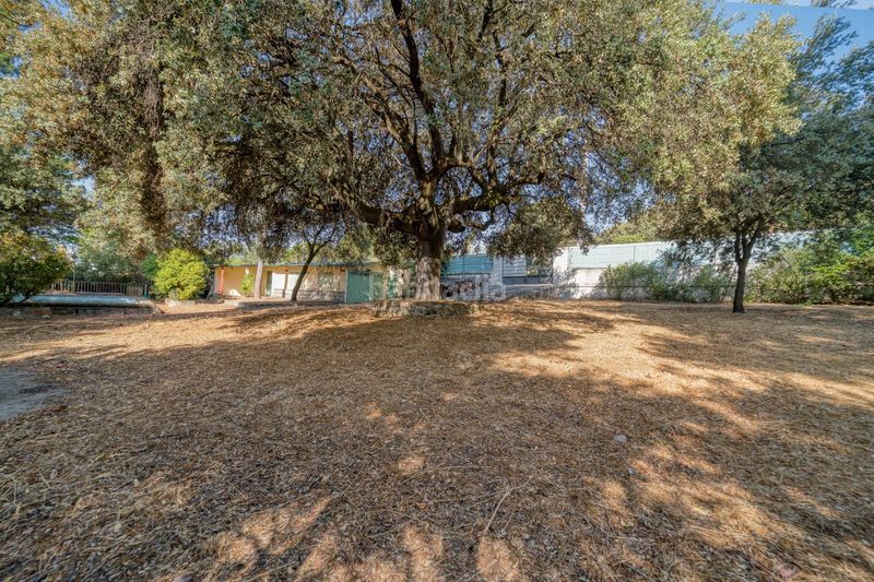 Foto d171dccd-39c9-444e-a219-16640d022351. Terreno residencial en Las Zorreras-Monte Encinar Escorial (El)