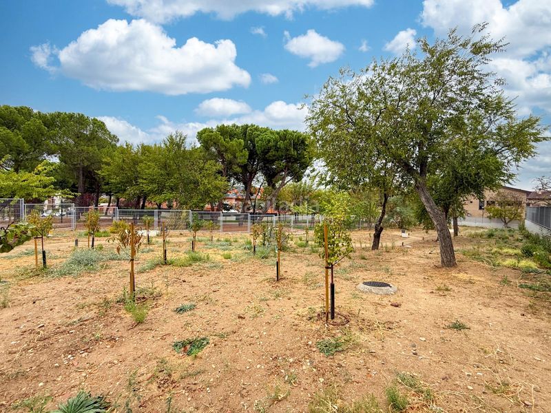 Foto 6bc4bf03-9813-495c-9ff5-9cfcaa2687c9. Rent flat with heating parking pool in Cobeña