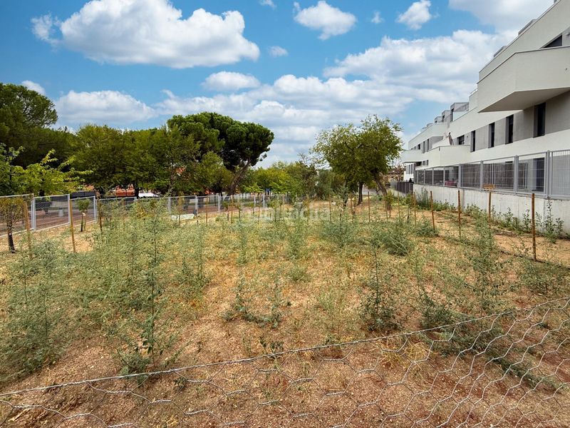 Foto 8c6c34fe-85b1-47da-8c0b-9b4ca6fa8ffe. Rent flat with heating parking pool in Cobeña