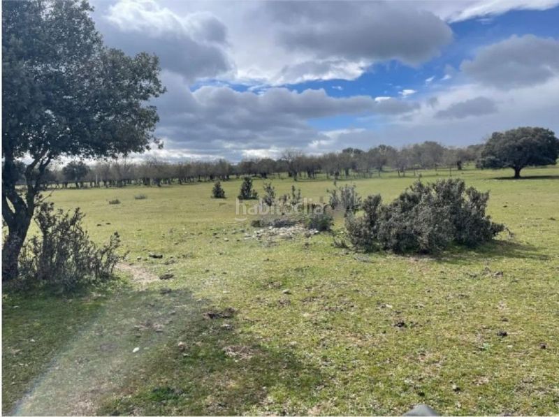 Foto 748d3862-473d-45b5-a7f0-a367f8339a30. Finca rústica a carretera m-505 kilometro 18 a El Guijo-Colonia España Galapagar