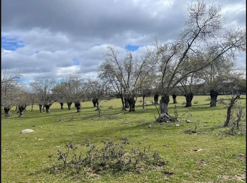 Foto b629f643-ff4d-41d5-90f9-dbe3e430b86e. Finca rústica a carretera m-505 kilometro 18 a El Guijo-Colonia España Galapagar
