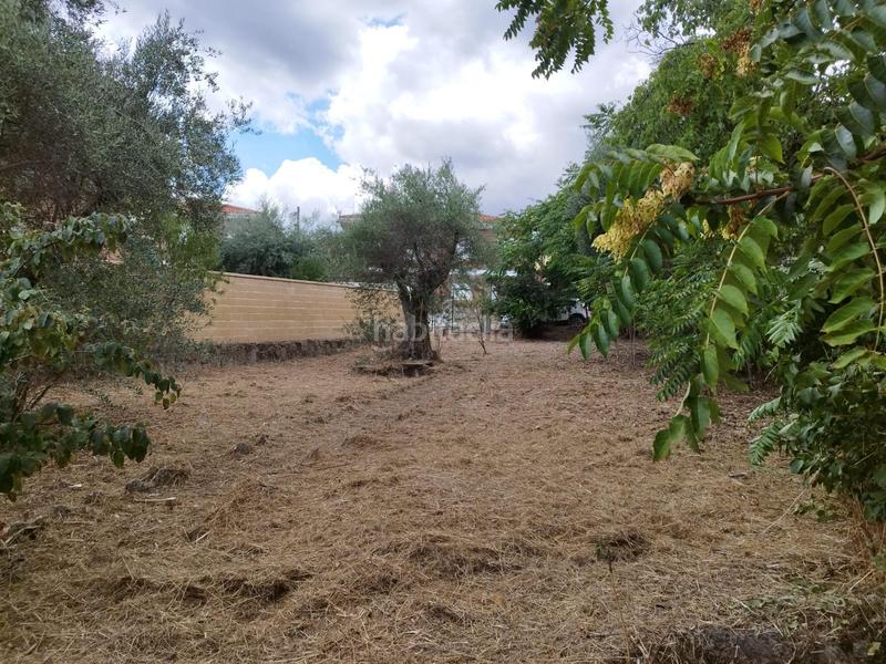 Foto 3a92cc21-11f8-436d-ad10-793c9e659bd6. Terreno residencial en Navalagamella