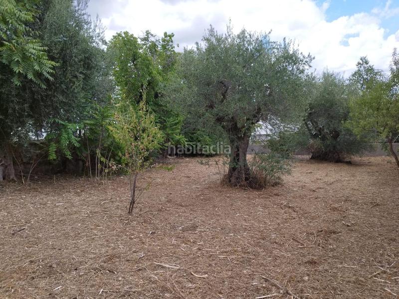 Foto 5c31d3f9-22ac-4e21-a318-a76895ed6a86. Terreno residencial en Navalagamella