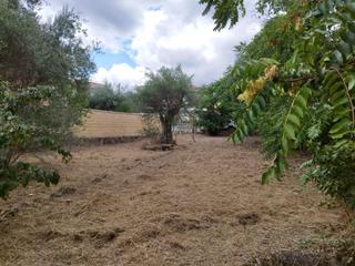Residential Plot in Navalagamella