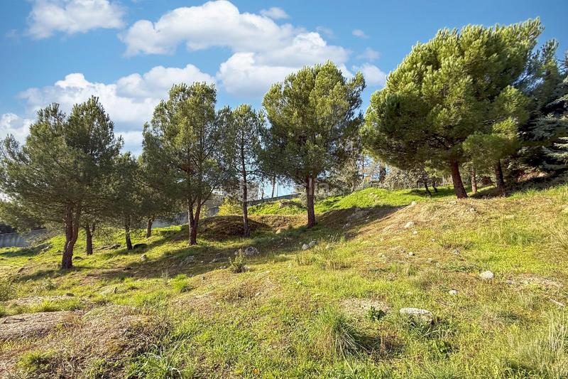 Foto 089a2985-872f-4128-a0fa-f8e69976d652. Terreno residencial en tomillar 38 en El Monte Torrelodones