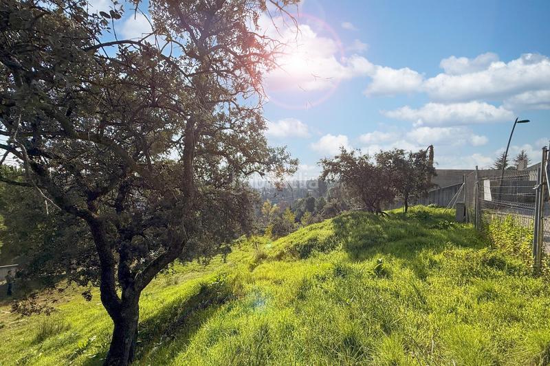 Foto 83b46856-4133-478f-81ad-6852fd361d72. Terreny residencial a tomillar 38 a El Monte Torrelodones