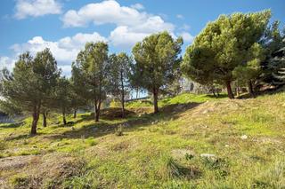 Terreny residencial a Tomillar 38