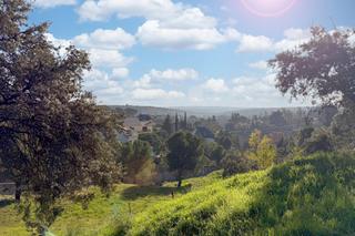 Wohngrundstück in Tomillar 38