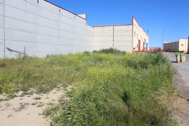 Foto 78245cf9-9cd0-4145-b293-c5692ff7e621. Terreny residencial a Escalonilla