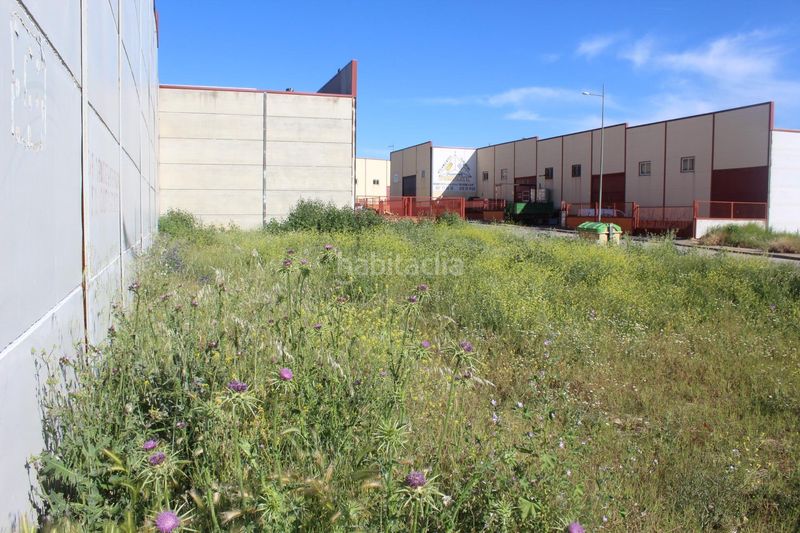 Foto 8e74d47a-b013-4fd0-8157-806d29dc8f93. Terreny residencial a Escalonilla