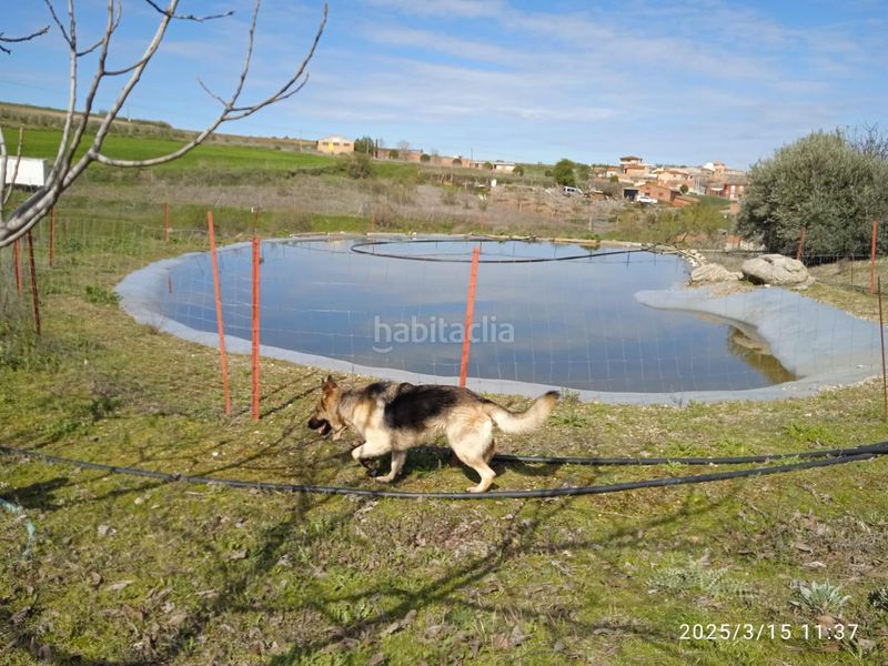Foto 69c593d2-9649-4958-8769-3f4804d861fa. Haus mit heizung parking pool in San Martín de Pusa