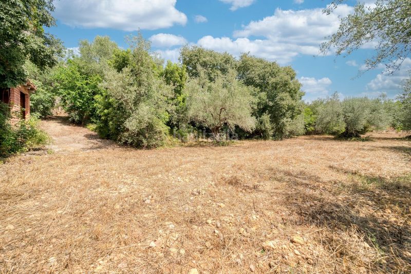 Foto 5d04bf37-508e-496c-8f47-85b38a93440e. Xalet amb aparcament a Onda