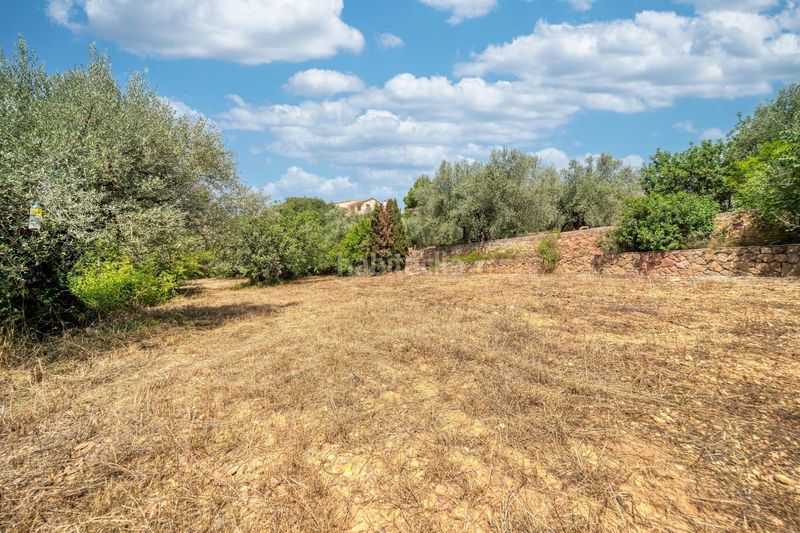 Foto bc4c58bb-0e9d-4ea9-a031-a9a608732d20. Xalet amb aparcament a Onda