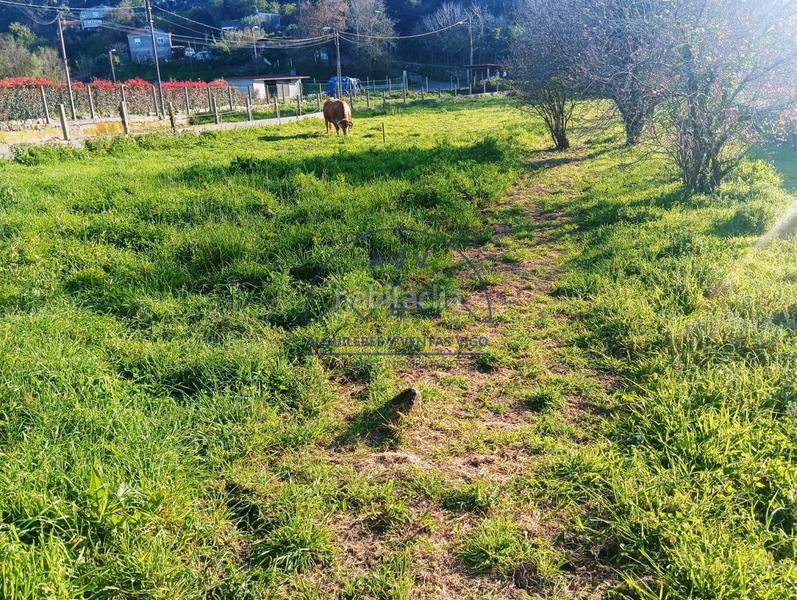 Foto bdb80858-7154-4715-afd4-6b0729c215b8. Terreny residencial a Coruxo - Oia - Saiáns Vigo