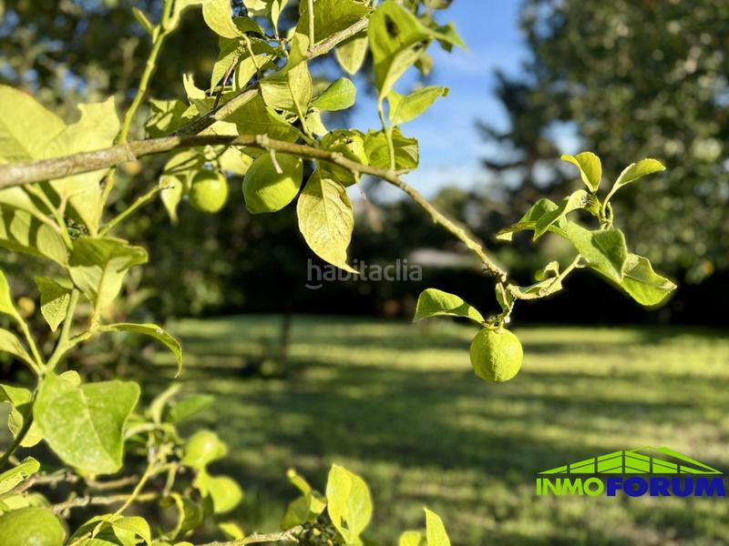 Foto 6007f042-72a6-4764-aa83-694a097e8130. Casa a Cambre