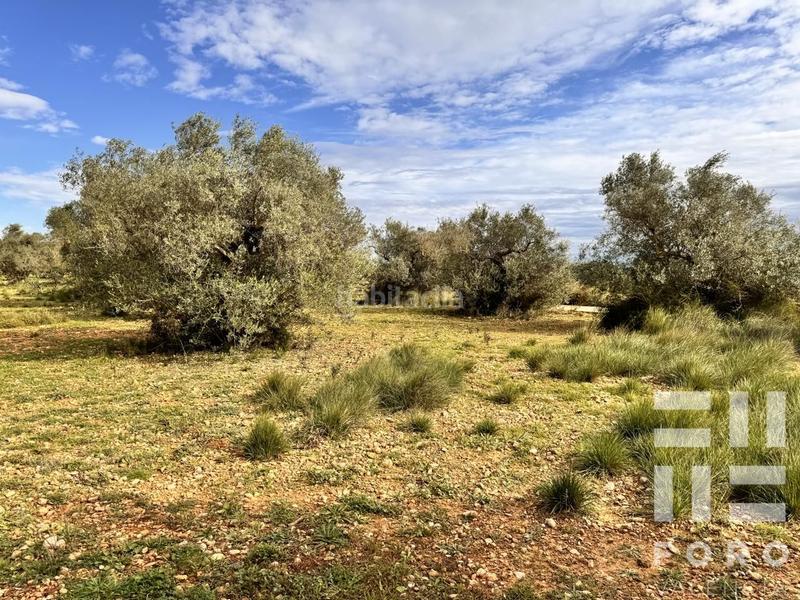 Foto 0e699d33-7bf7-488d-9e4f-b30249da5411. Terreno residencial parcela rustica con caseta h. en Benlloc