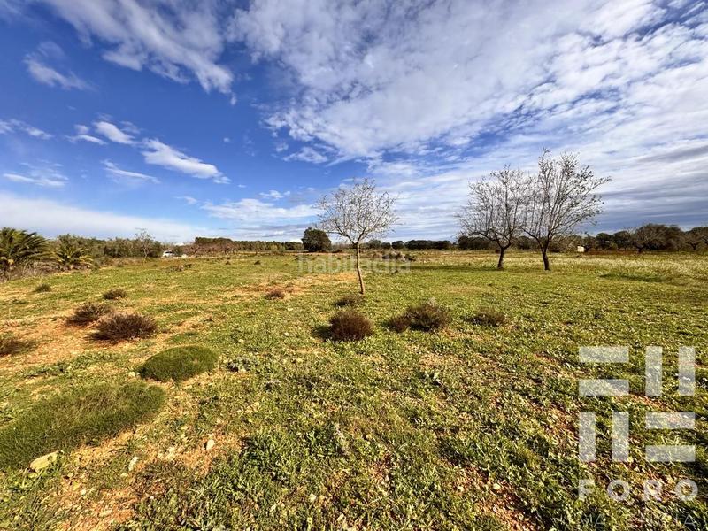 Foto 38a5633e-f259-47c4-844e-5787b8e4db48. Terreno residencial parcela rustica con caseta h. en Benlloc