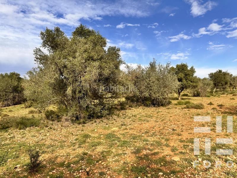 Foto 438f39b6-c49f-49ae-898a-7a9be4545fc6. Terreno residencial parcela rustica con caseta h. en Benlloc