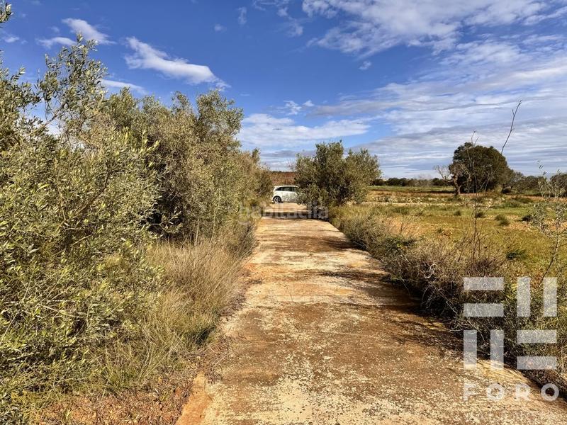 Foto 479a6250-7ac1-485c-b587-ca17d12b6066. Terreno residencial parcela rustica con caseta h. en Benlloc