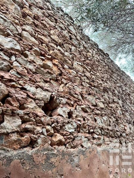 Foto 1a9b2761-50e9-4329-873d-e7cf45e1658e. Masía en poligono 32 15 masia en Carcaixent